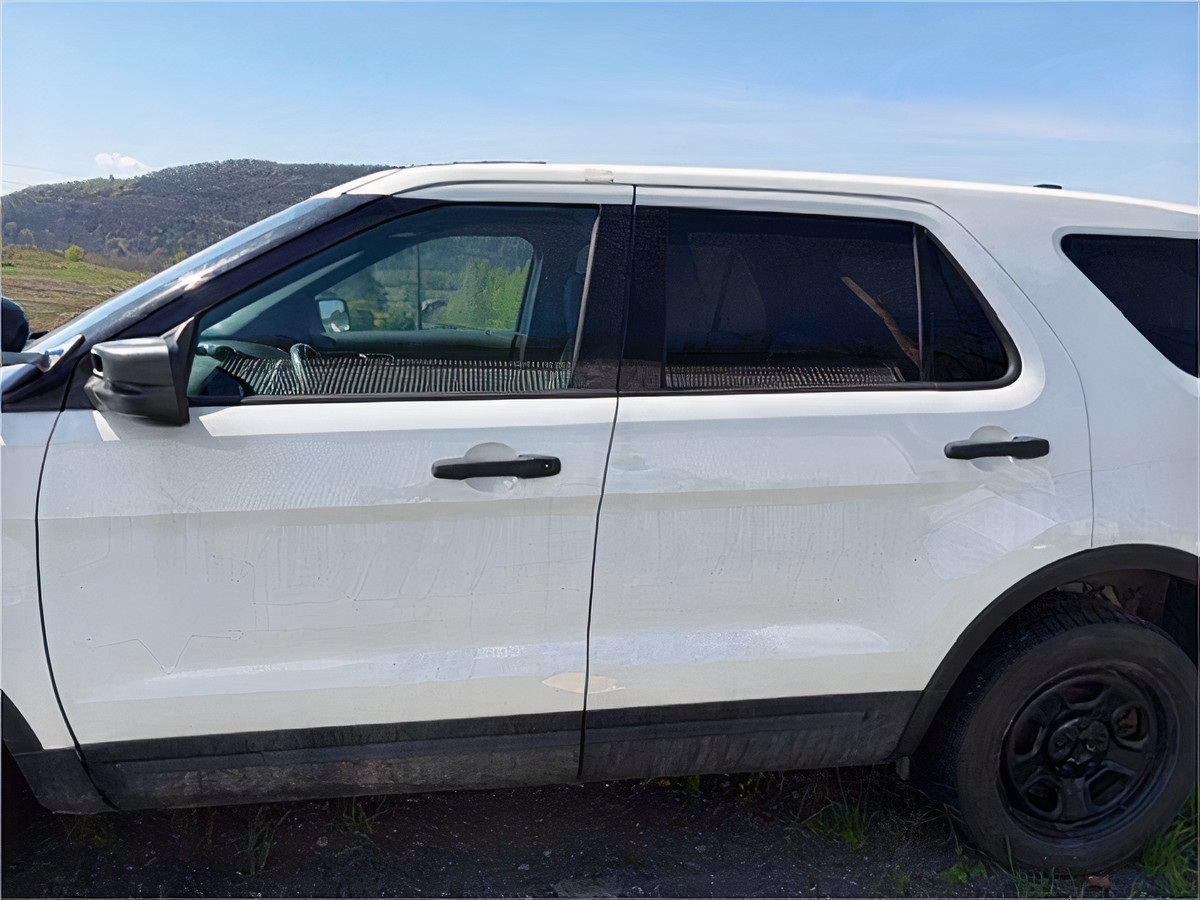 2018 Ford Interceptor