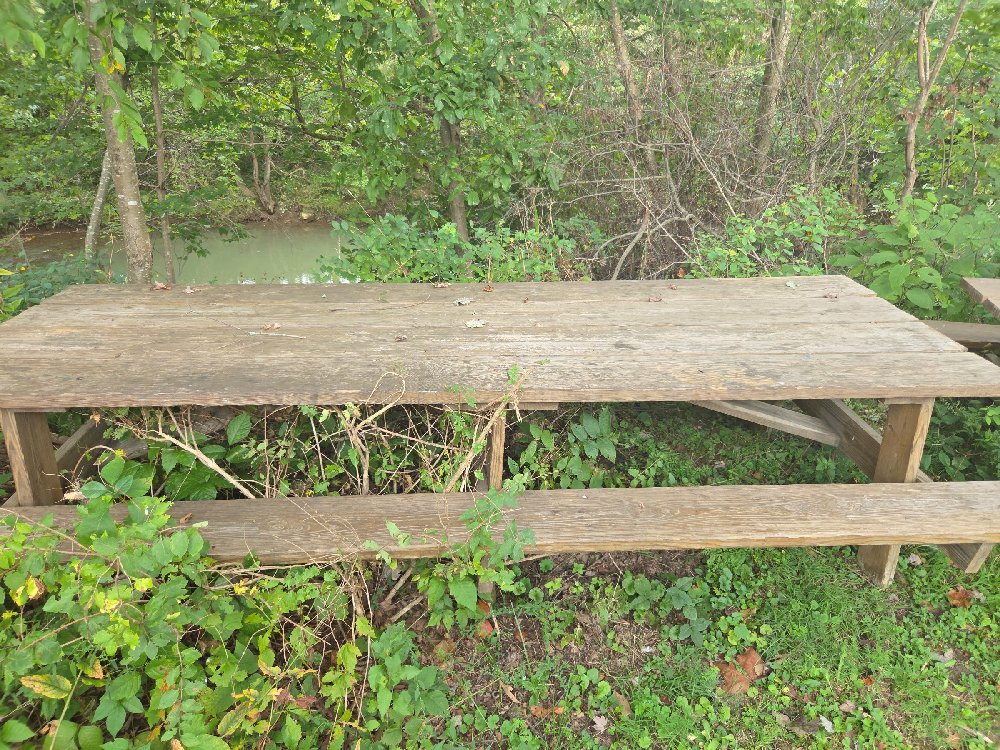 Picnic Table#11
