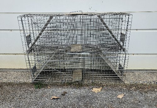 Live Animal Traps