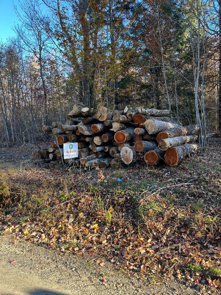 Assorted logs