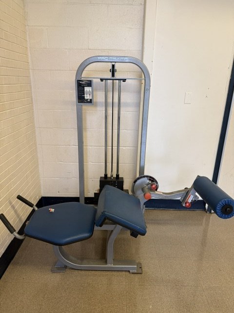 Pro Maxima Leg Curl