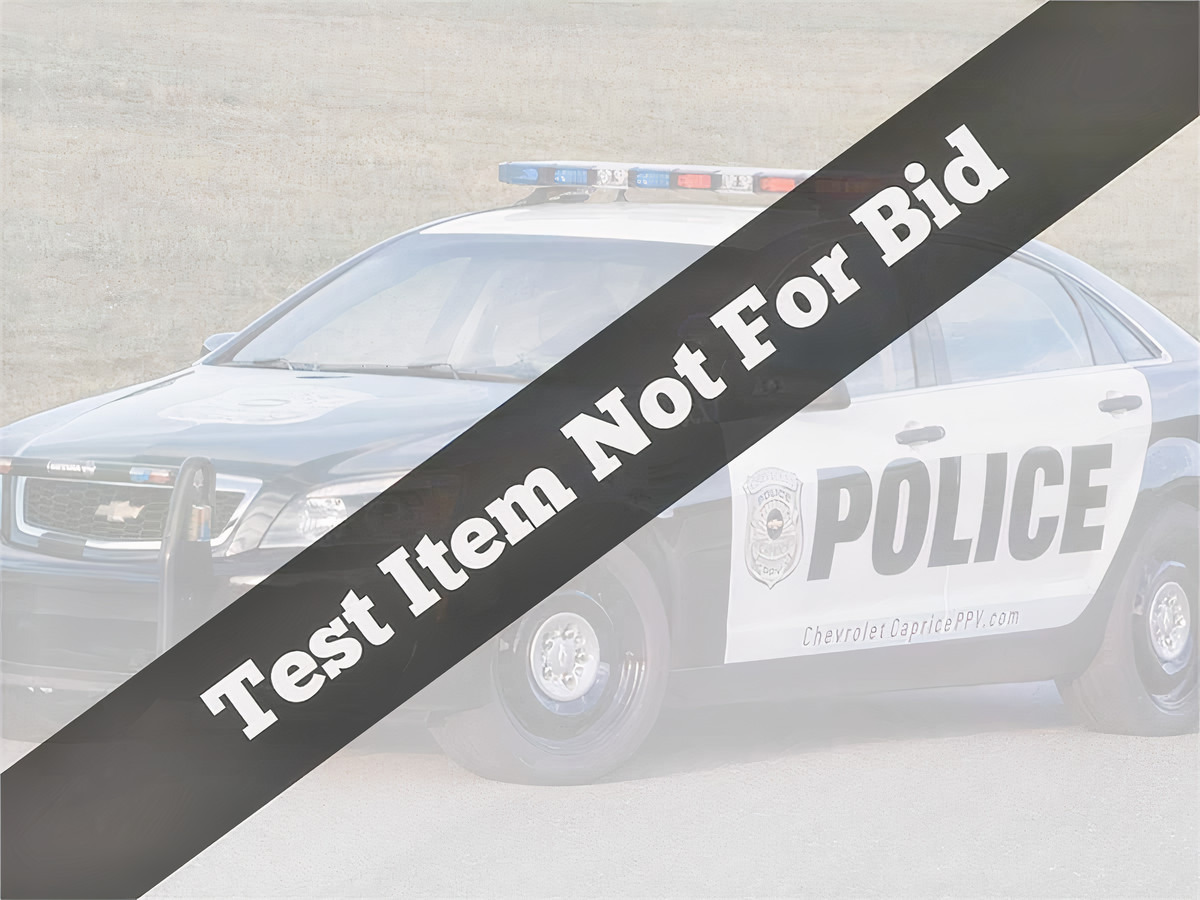 TEST ITEM NOT FOR BID