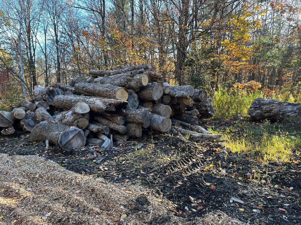 Assorted Logs Dingle rd
