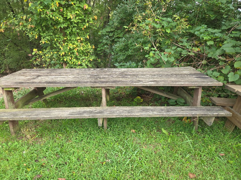 Picnic Table #8