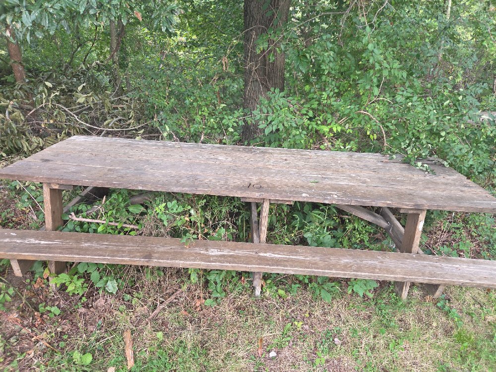 Picnic Table #10