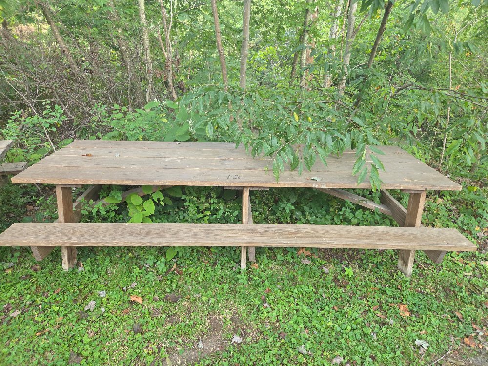 Picnic Table #12