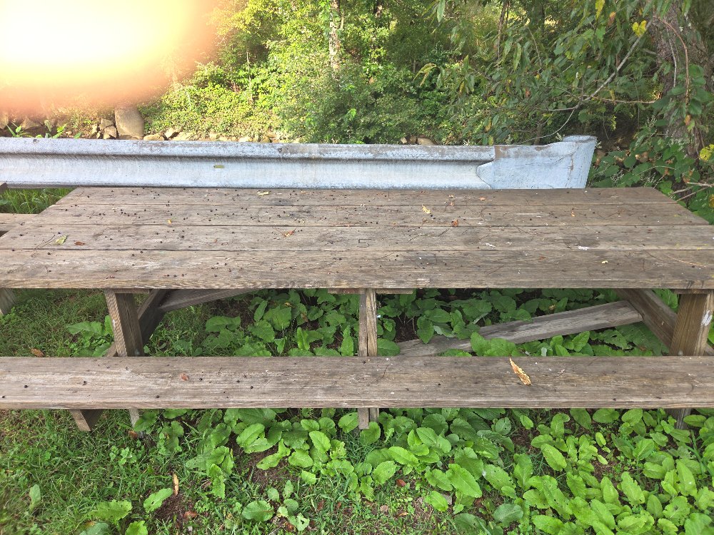Picnic Table #5