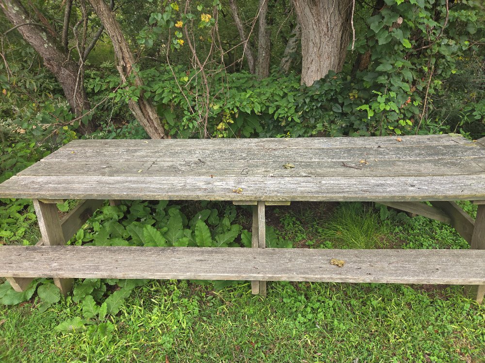 Picnic Table #6