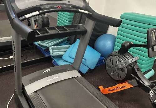NordicTrack Commercial 2450 Treadmill– Unit 1