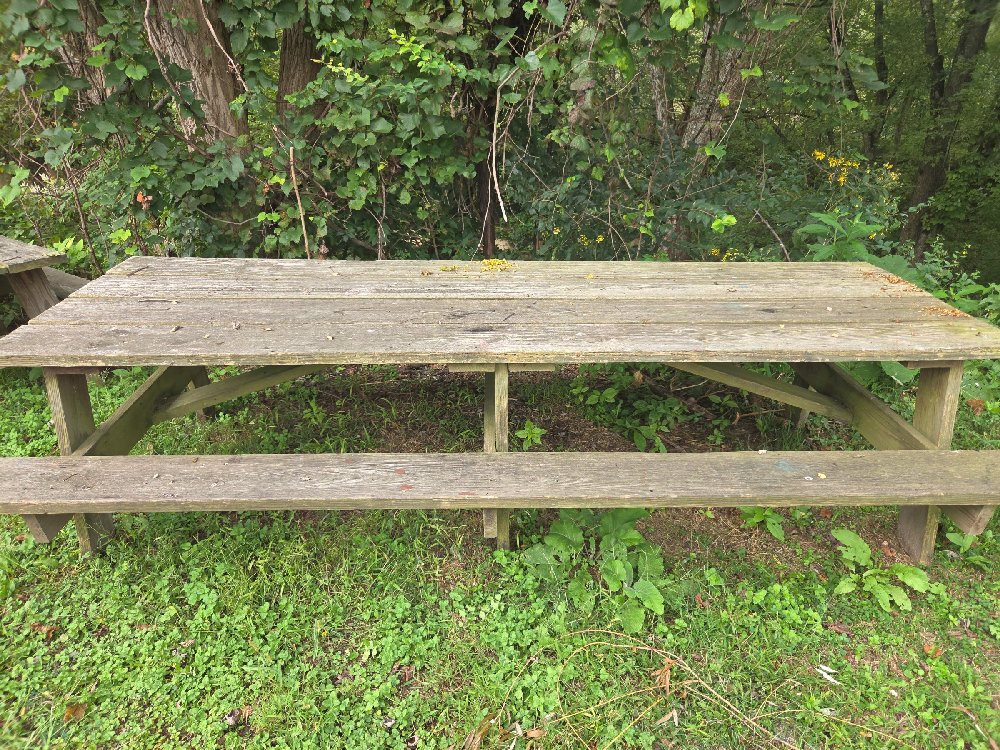 Picnic Table #7