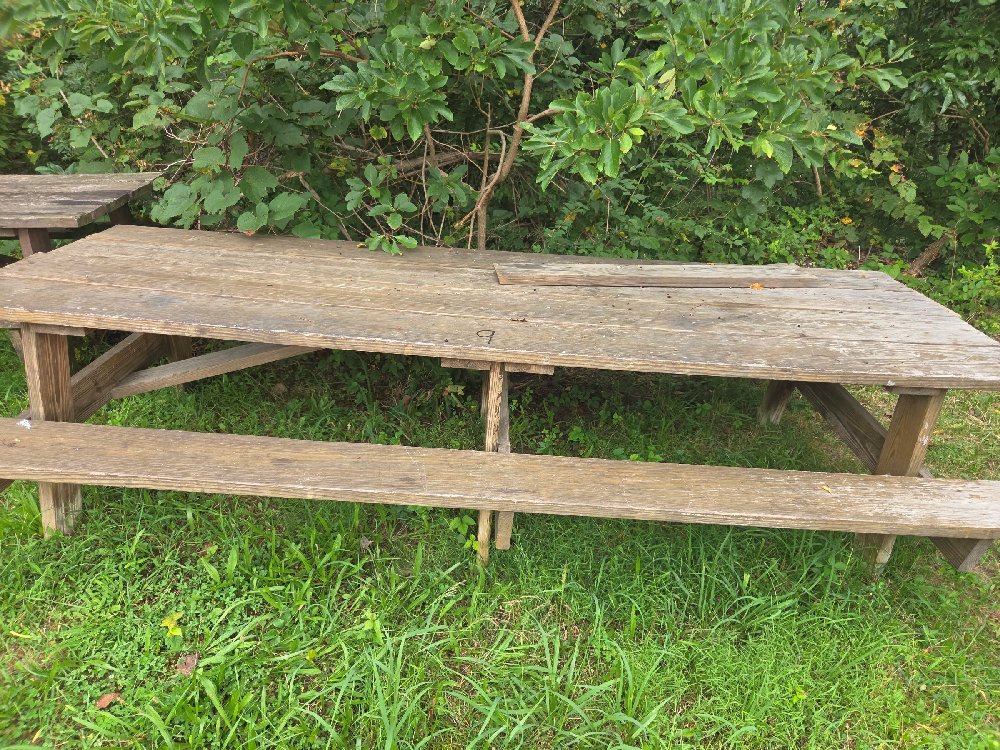 Picnic Table #9